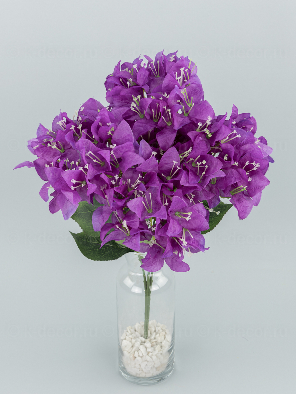 Букет Бугенвиллея