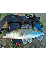 Виброхвосты съедобные искусственные LJ Pro Series ALIEN BUG 1,5in (03.81)/T48 10 шт. в упак.