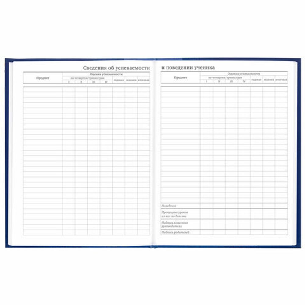 Дневник 5-11 класс 48 л., твердый, BRAUBERG, глянцевая ламинация, с подсказом, "Символика", 106878
