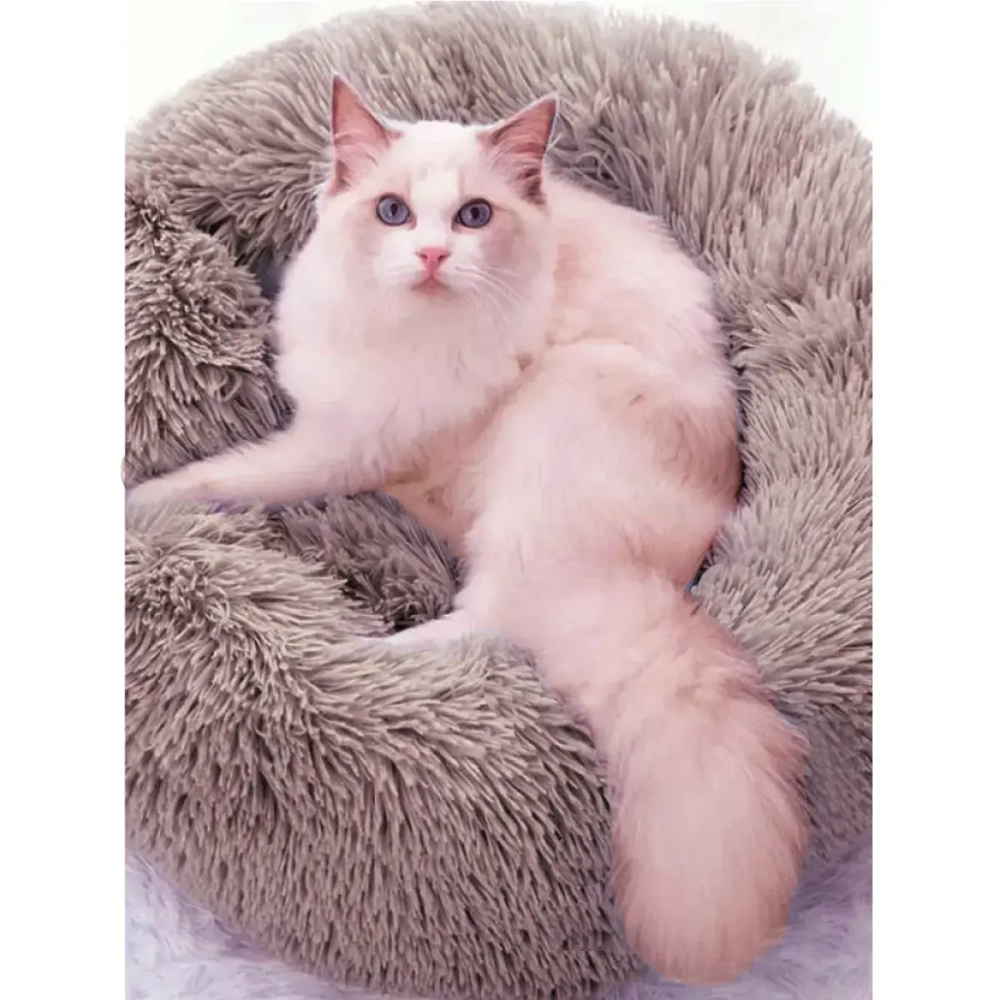 Лежанка для животных круглая «Место БРО», цвет мокко, d-50см (Лейбл)