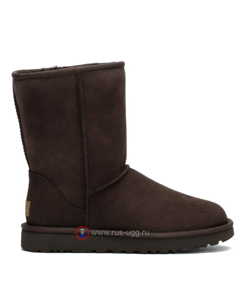CLASSIC SHORT MEN II Chocolate