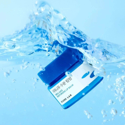 Round Lab Birch Juice Moisturizing Lip Balm увлажняющий бальзам для губ с берёзовым соком