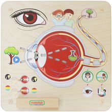 Панель &quot;Зрение&quot;