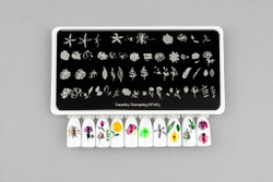 Пластина Swanky Stamping 063