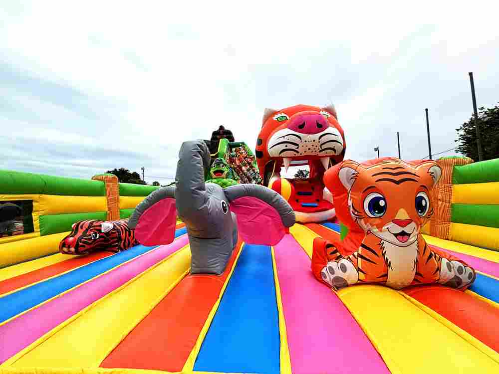 Коммерческий надувной батут «Прайд 2» с широким входом, 12*7*6 м