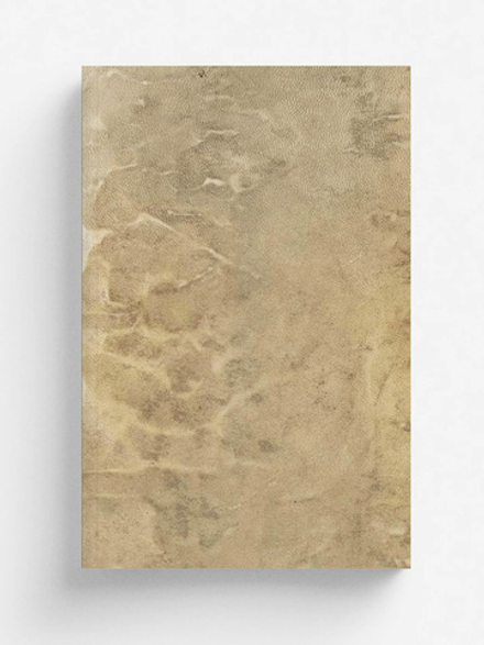 Манускрипт Войнича  The Voynich Manuscript | Нет автора