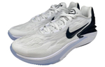 Кроссовки Nike Air Zoom G.T. Cut 2 Tb