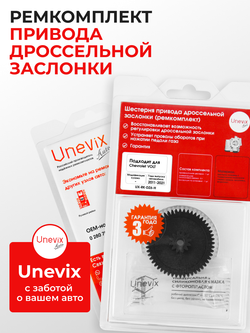 Шестерня привода дроссельной заслонки (ремкомплект) Chevrolet Volt 2011 - 2021 (DZ-6)