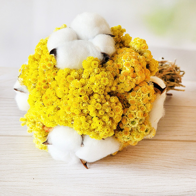 Букет сухоцветов Хлопок и Бессмертник 20х18 см