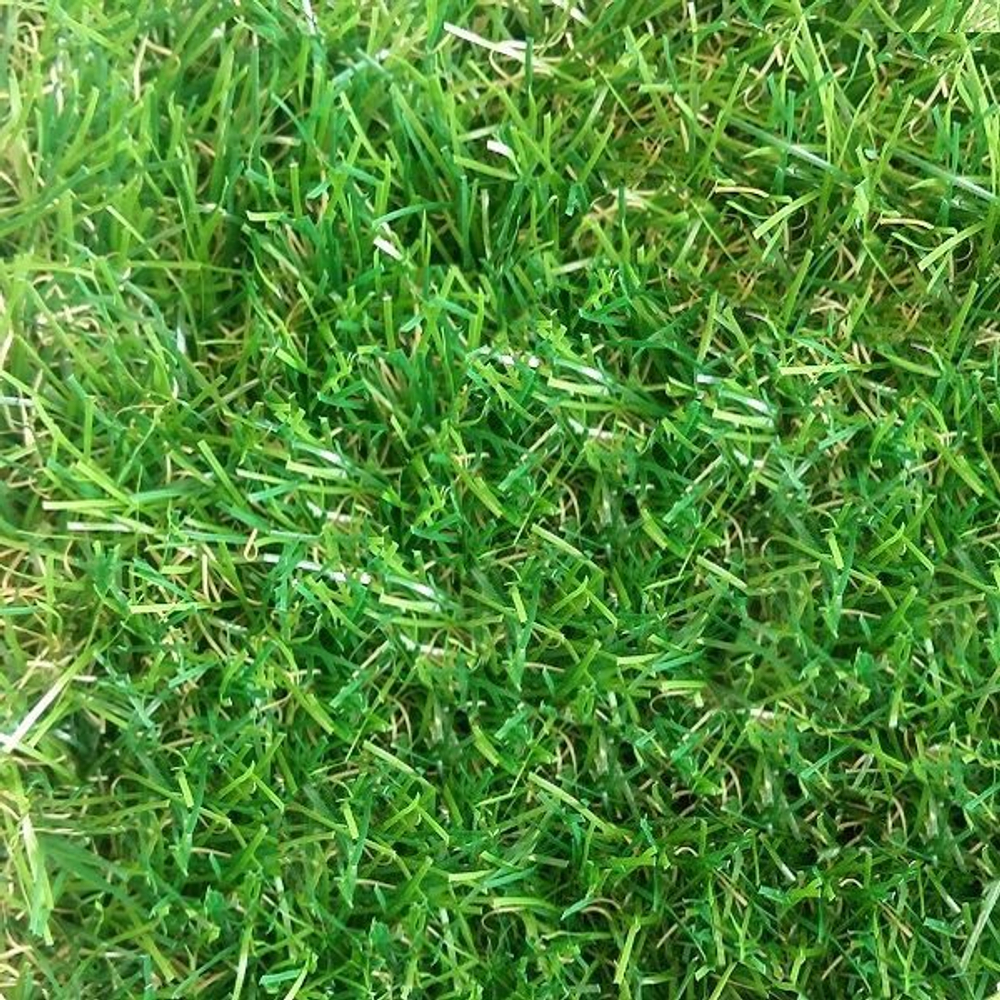 Трава искусственная "August" 35 (Green Eco)