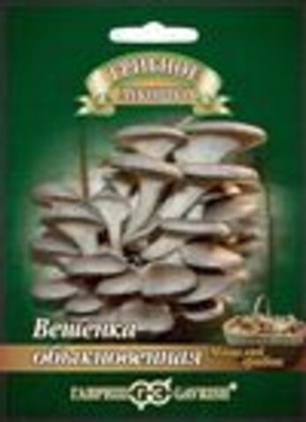 Грибы Вешенка обыкновенная на древ. палочке 12шт Ц Гавриш