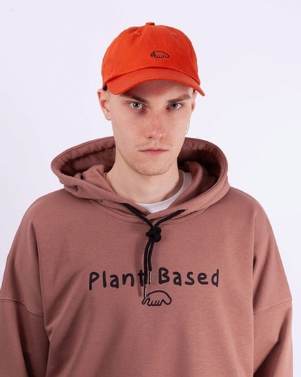 Кепка Anteater 6Panel-Terrakot