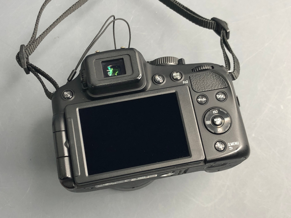 Leica V-Lux 4