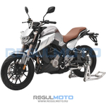 Мотоцикл Regulmoto ALIEN MONSTER 300