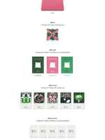 Альбом TXT - THE NAME CHAPTER: TEMPTATION WVS ALBUMS Version