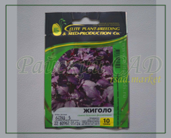 Базилик Жиголо (Гавриш) 2гр