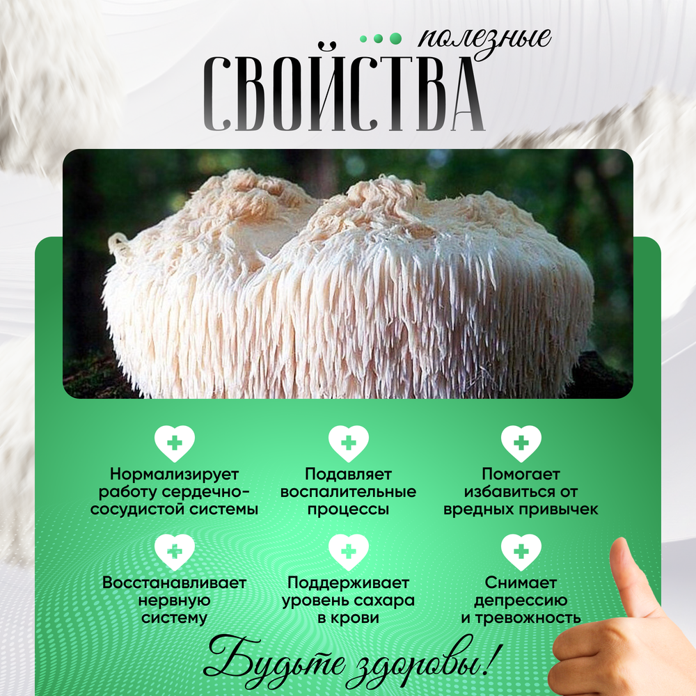 Ежовик гребенчатый, ежевик, lions mane + мицелий, порошок 100 грамм.