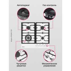 Газовая панель Hansa BHGW611391