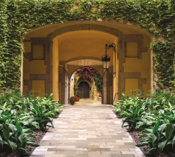 Коллекция Города и страны