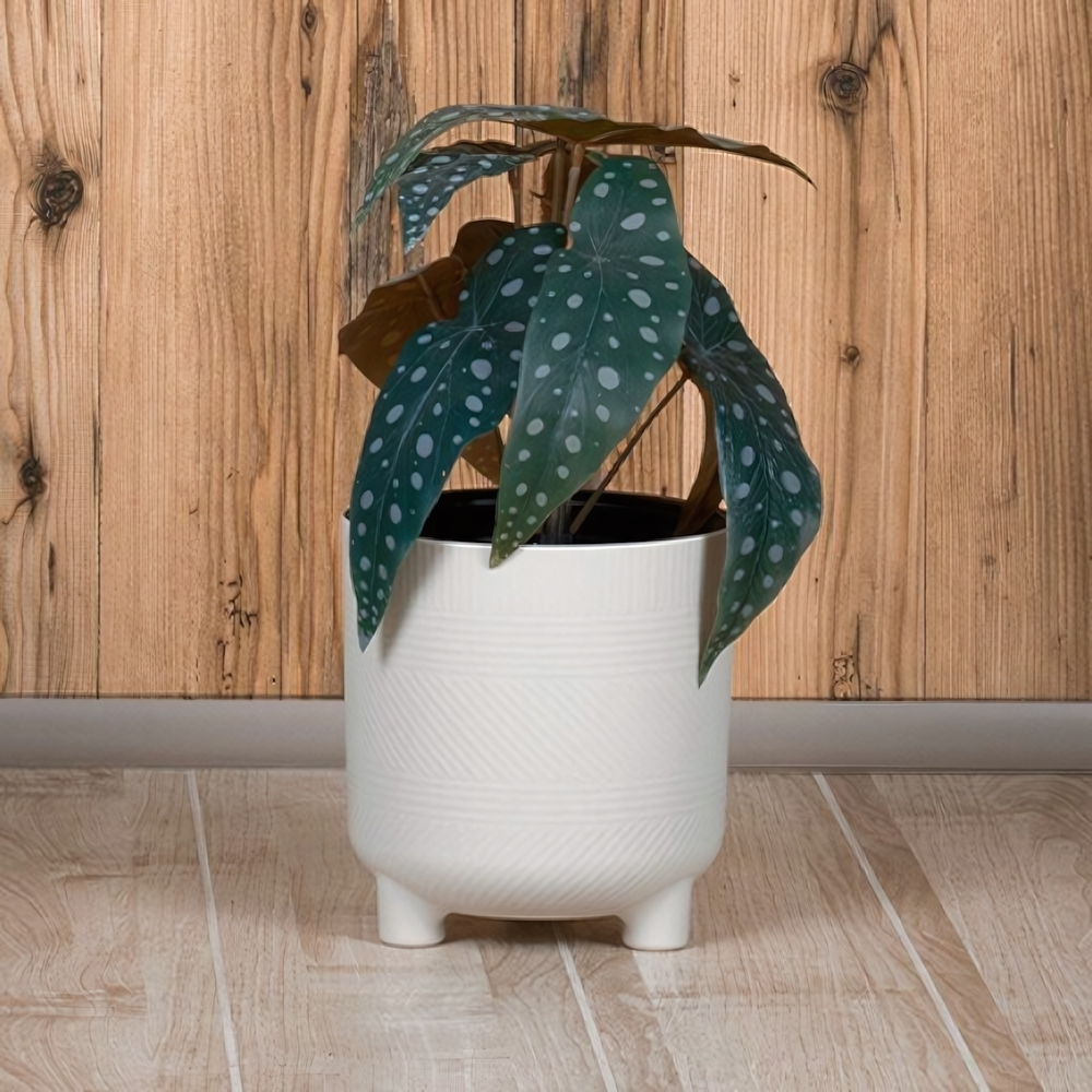 Кашпо ШЭНК 6,5л D220мм H=225мм вставка и автополив, с индикатором уровня воды, на ножках