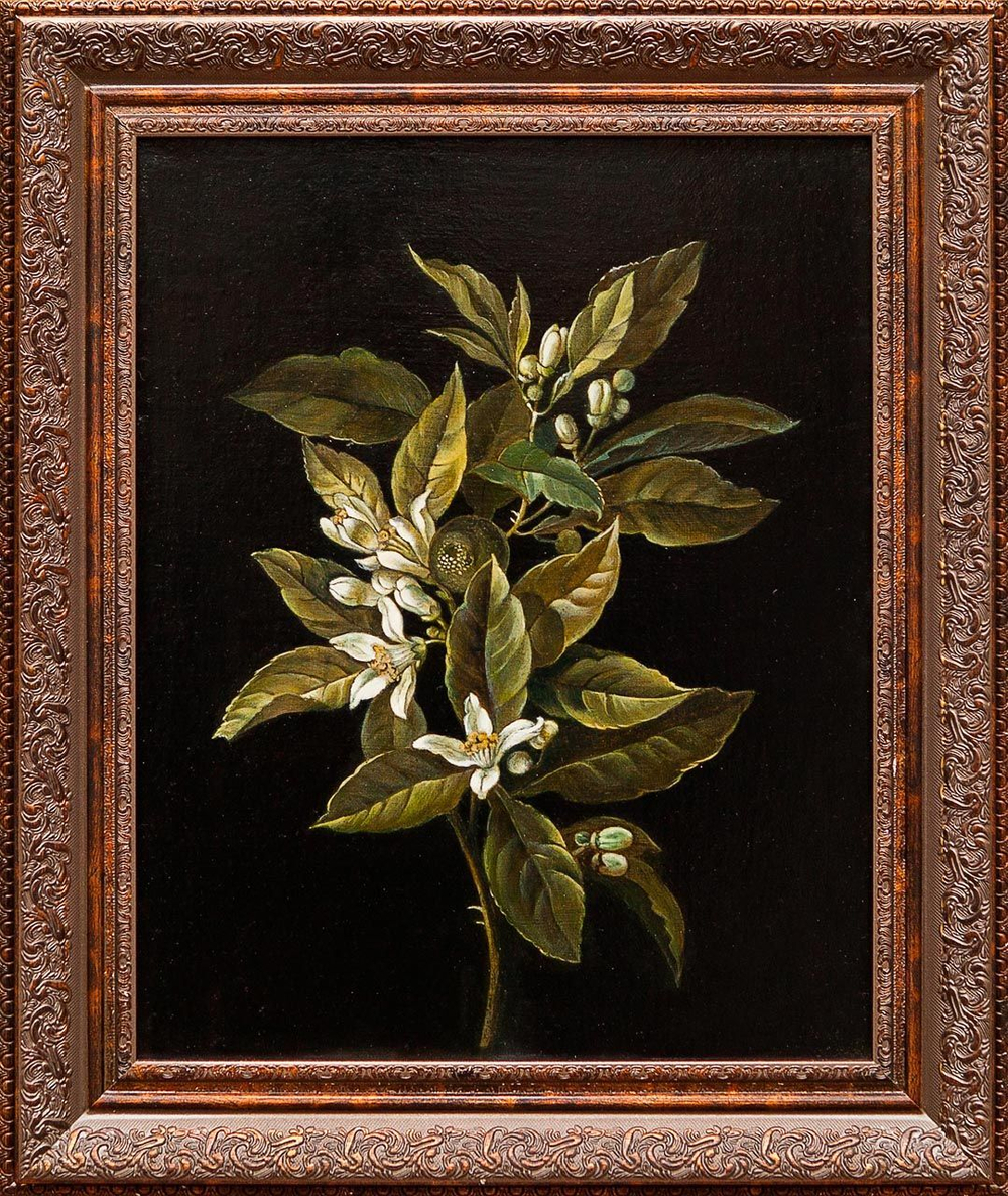 Картина маслом "Флердоранж" (Копия А. Монейро) Шведова