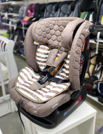 Автокресло Rant AY913 "MATRIX" Story Line (brown) группа 0+-1-2-3  (0-36 кг)