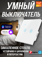 Умный выключатель белая (2 кнопки)