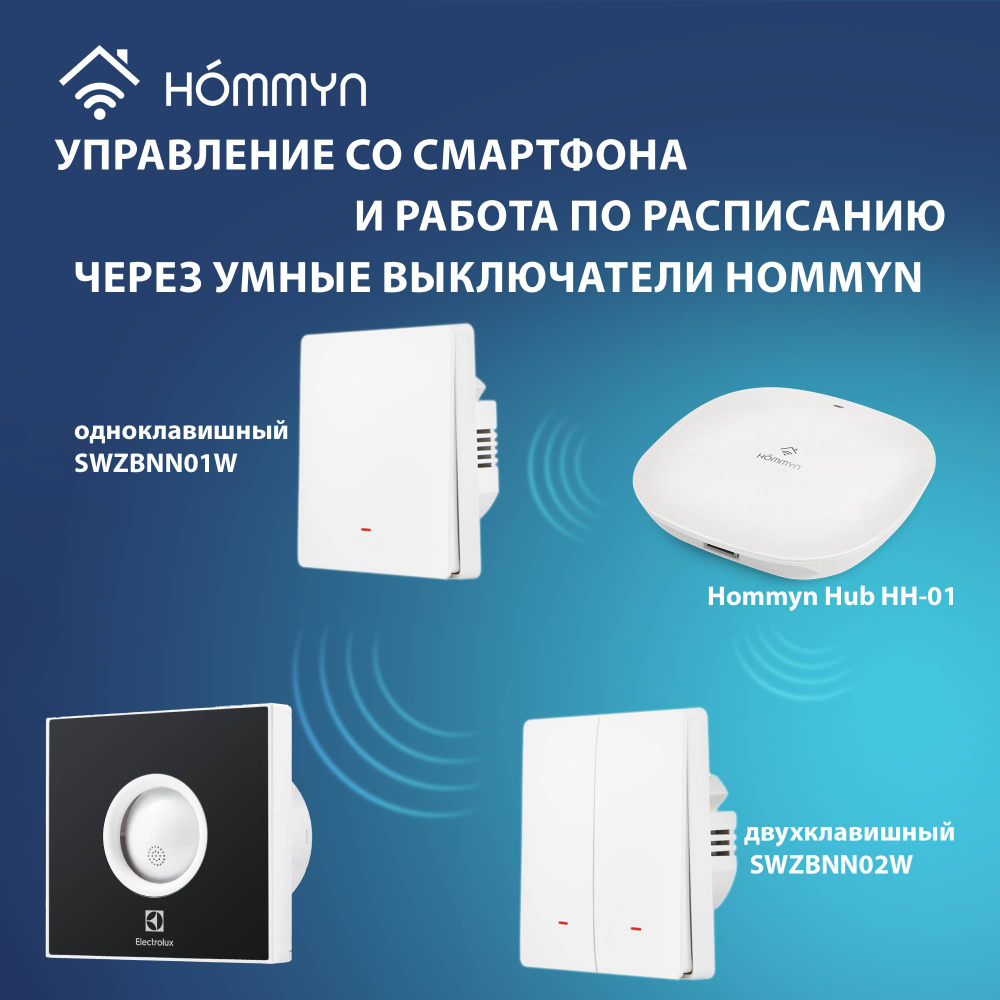 EAFR-100 black Вытяжной вентилятор