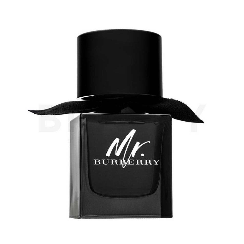Burberry Mr. Burberry EDP M 50 ml