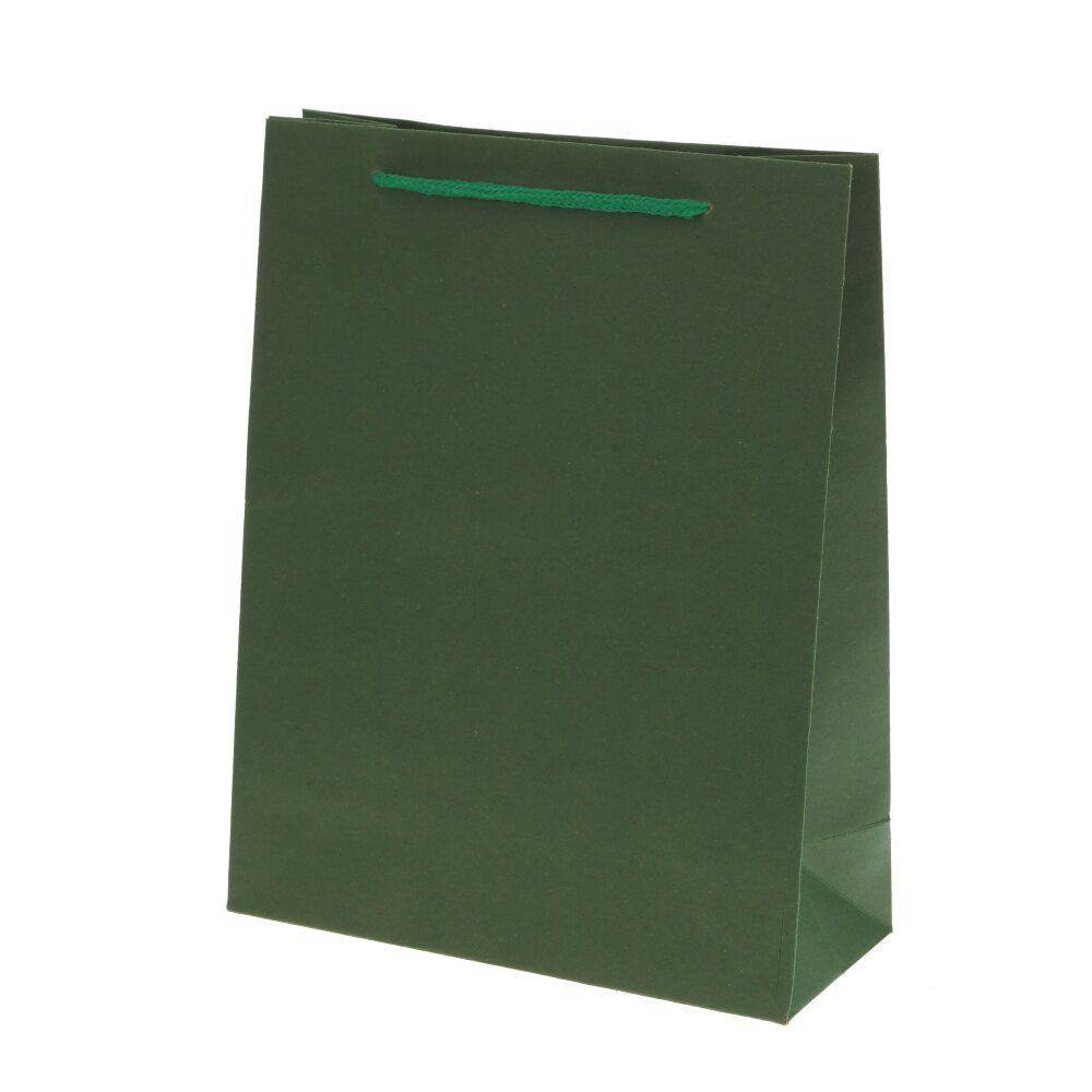 GAEM Пакет подарочный (бумага 210г/м2, блок 12шт), L19 W8 H24,5 см, 4в.