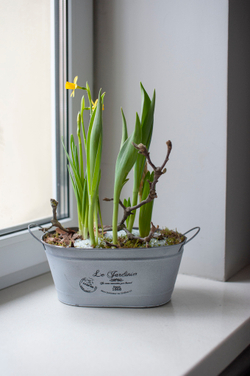 Весенняя композиция №11