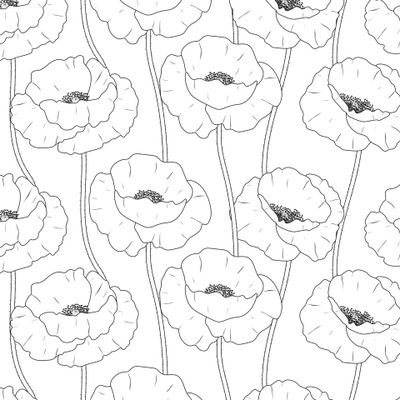 Цветы маки черно-белого цвета. Полевые цветы. Прованс