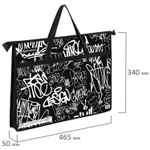 Папка для рисунков и чертежей с ручками BRAUBERG А3 пластик молния сверху "Graffiti" (2 штуки в упаковке)