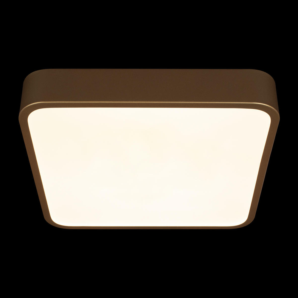 10228/C Потолочный светильник LOFT IT Flims