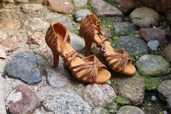 216 Tiger Nubuck
