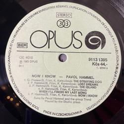 Винтажная виниловая пластинка LP Pavol Hammel Now I Know (Чехословакия 1983)