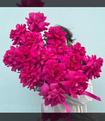 15 малиновых французских роз