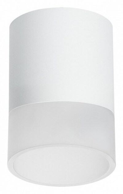 Накладной светильник Lightstar Rullo R348681