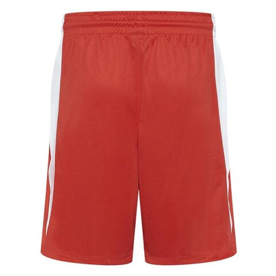 Баскетбольные женские шорты Women's Nike Team Basketball Stock Short 20 Red