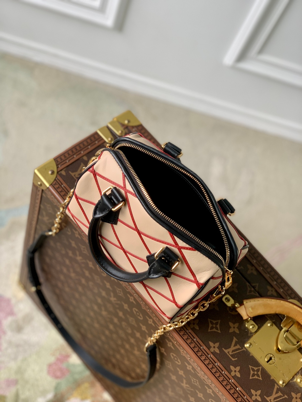 Louis Vuitton Speedy 20