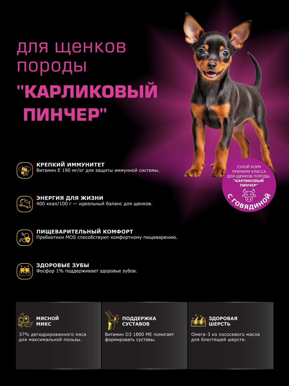Корм сухой для щенков породы Карликовый пинчер, с говядиной, 3 кг, QUATTRO