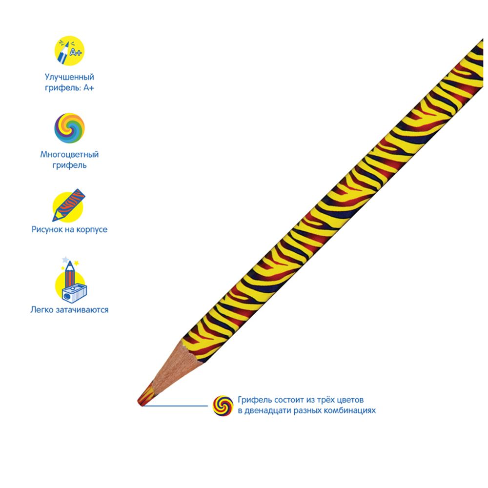 Карандаши с многоцветным грифелем Мульти-Пульти "Енот и радуга", 12цв., заточен., европодвес