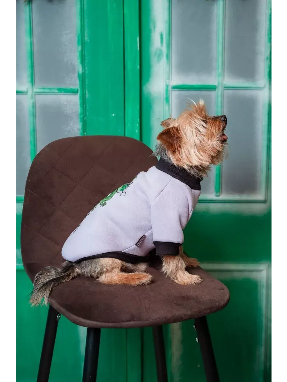 Толстовка для собак и кошек