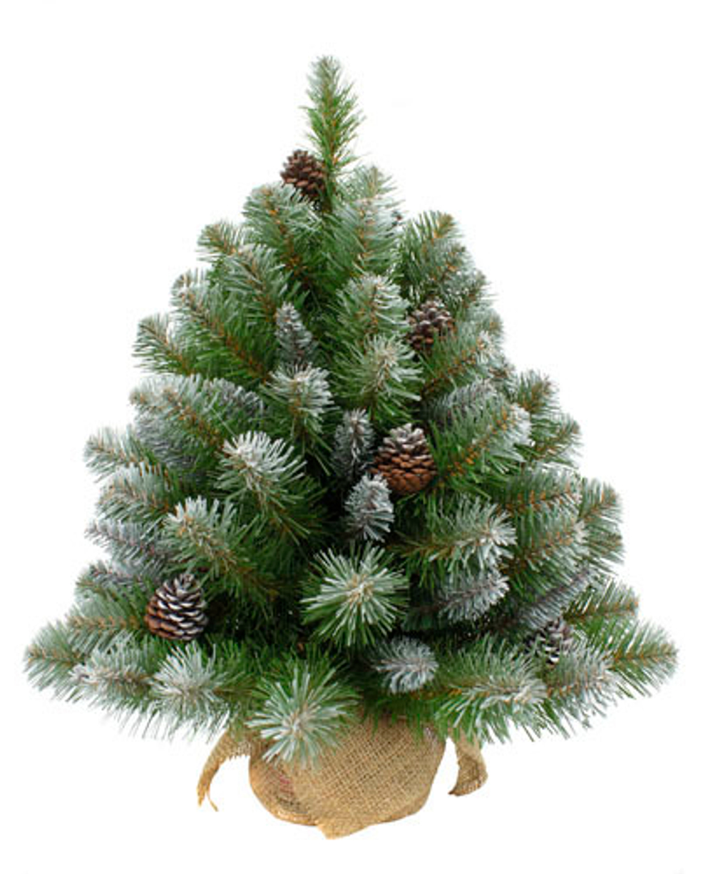 Ель Императрица с шишками 90 CM в мешочке заснеженная Triumph Tree