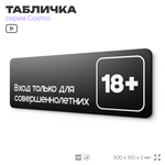 Табличка Вход только для совершеннолетних, 30х10 см, для офиса, кафе, магазина, паркинга, серия COSMO, Айдентика Технолоджи