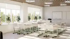 Стул ученический NOMAD