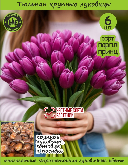 Тюльпан Луковица, Парпл Принц 6 шт