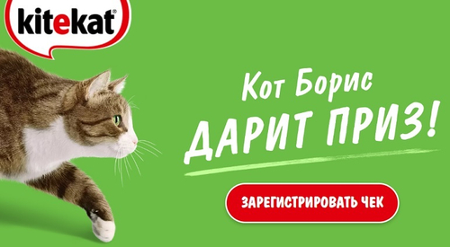 Комплект 10 дверей Мега хит от Бориса