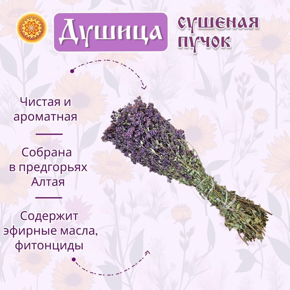 Душица, пучок.