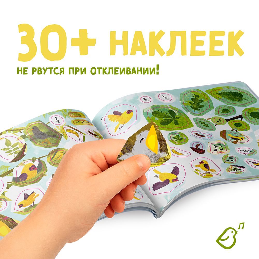 Виви отважны. Почему хорошо быть ярким. книга с наклейками